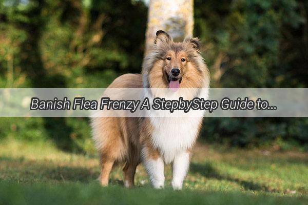 Banish Flea Frenzy A StepbyStep Guide to JumpStarting Your Dogs FleaFree Summer